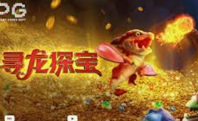 ayx大厅手机版登录入口2024最新版